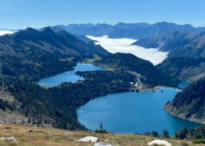 Paysage de montagne lac et forêt de pin